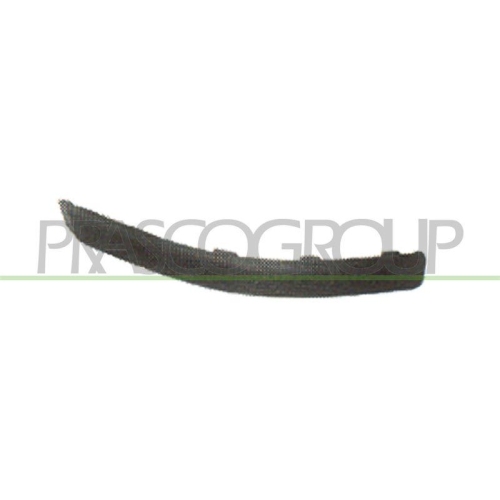 PRASCO Zier-/Schutzleiste, Sto&szlig;f&auml;nger PremiumCertified FT1221243