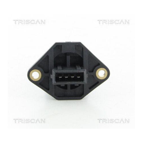 TRISCAN Luftmassenmesser