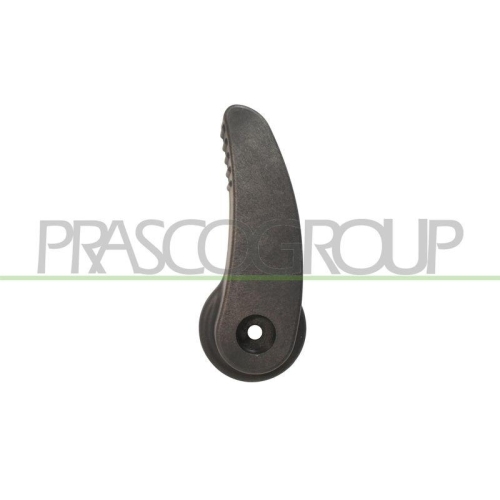 PRASCO T&uuml;rgriff, Innenausstattung FT9238311