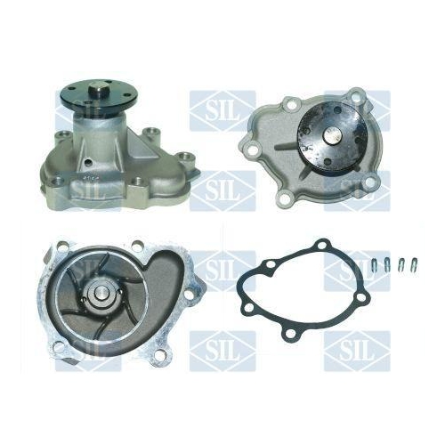Saleri SIL Wasserpumpe, Motork&uuml;hlung PA890