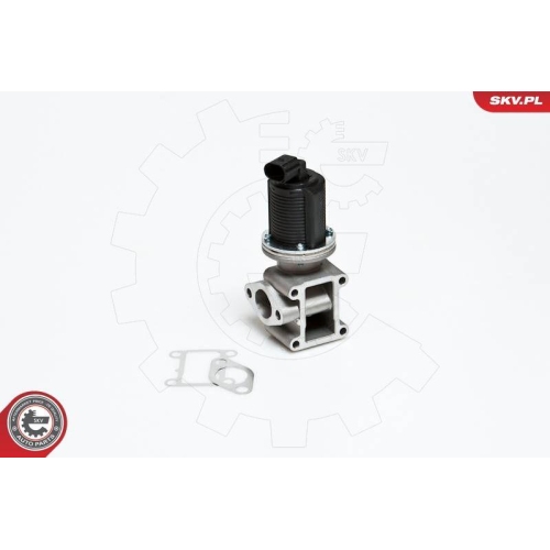 ESEN SKV AGR-Ventil