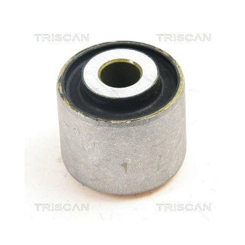 TRISCAN Lagerung, Lenker 8500 29870