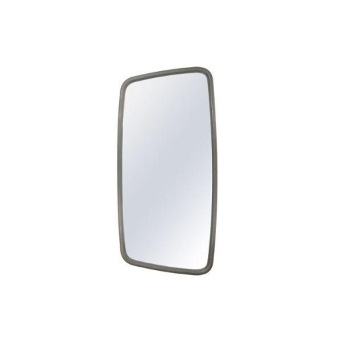 PACOL Au&szlig;enspiegel MAN-MR-048R