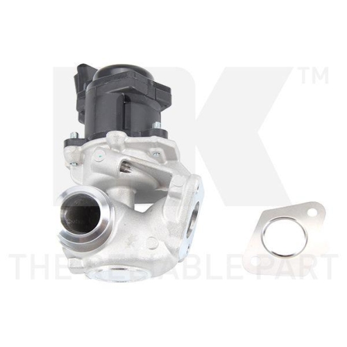 NK AGR-Ventil 4599013