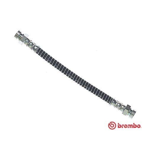 BREMBO Bremsschlauch ESSENTIAL LINE T 30 093