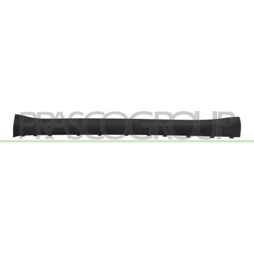 PRASCO Einstiegsleiste TS6001413