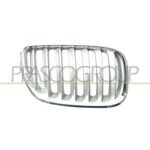 PRASCO K&uuml;hlergitter BM8202033