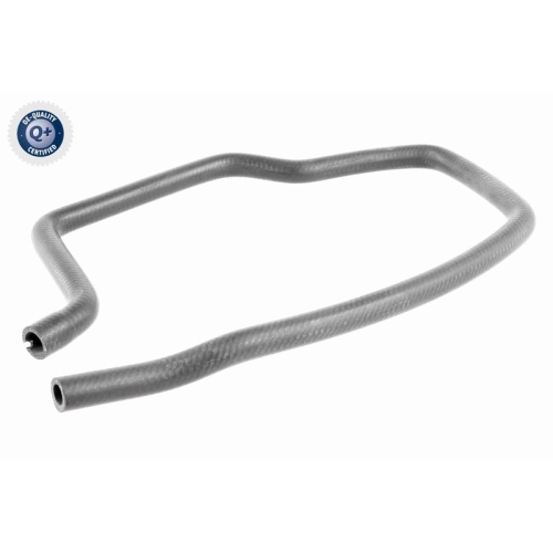 VAICO K&uuml;hlerschlauch Q+, Erstausr&uuml;sterqualit&auml;t V48-0148