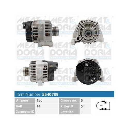 MEAT & DORIA Generator