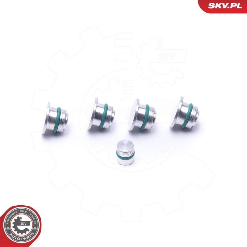 ESEN SKV Reparatursatz, Saugrohrmodul 49SKV530