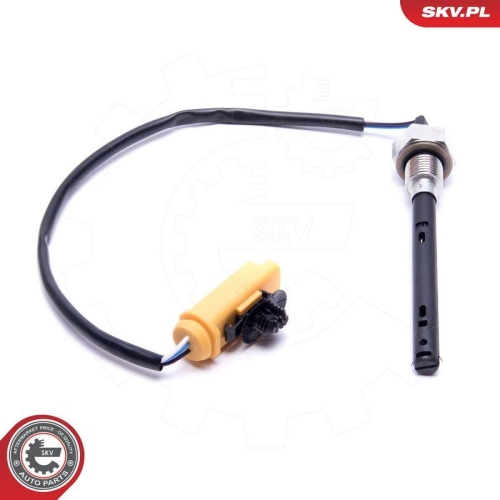 ESEN SKV Sensor, Motor&ouml;lstand 17SKV742