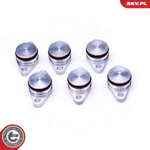 ESEN SKV Reparatursatz, Saugrohrmodul 49SKV545