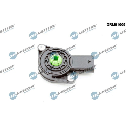 Dr.Motor Automotive Sensor, Saugrohrumschaltklappe DRM01009