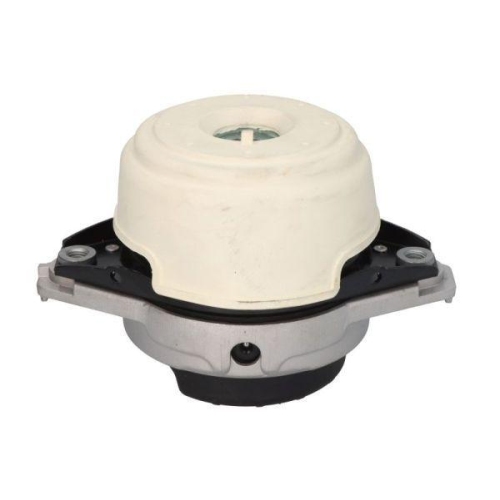 REINHOCH Lagerung, Motor RH11-3102