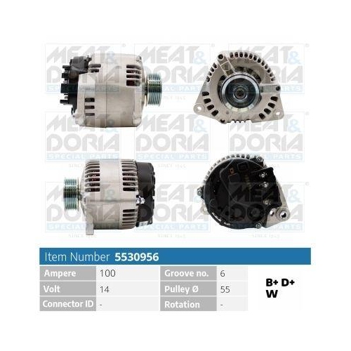 MEAT & DORIA Generator