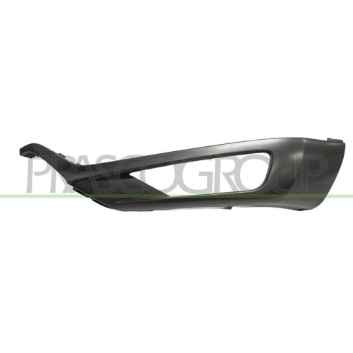 PRASCO Zier-/Schutzleiste, Sto&szlig;f&auml;nger VV7161248