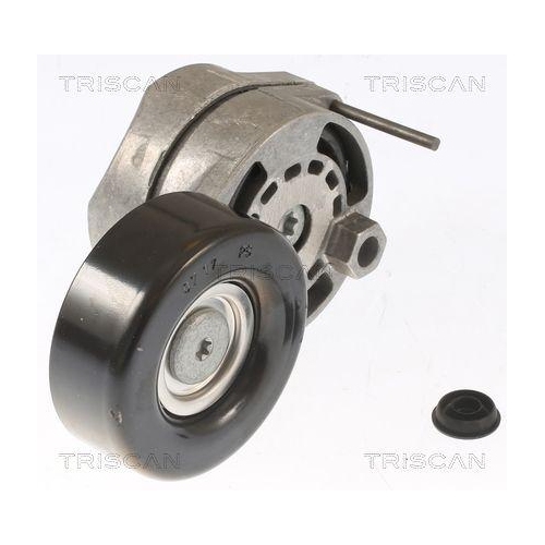 TRISCAN Riemenspanner, Keilrippenriemen 8641 293024