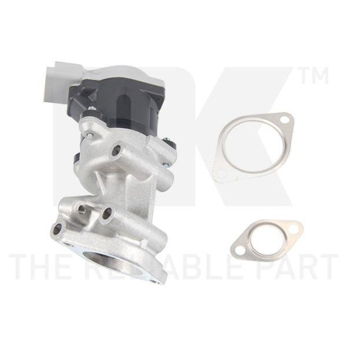 NK AGR-Ventil 4599022