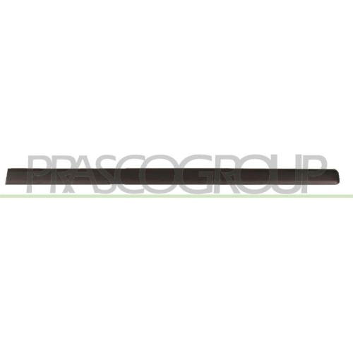 PRASCO Zier-/Schutzleiste, T&uuml;r FT1221403