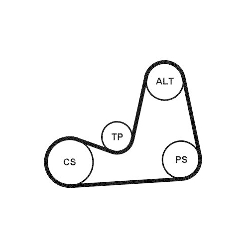 CONTINENTAL CTAM Keilrippenriemensatz 5PK1110K2