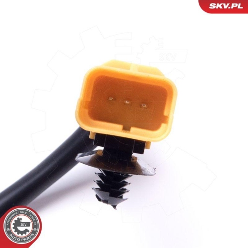 ESEN SKV Sensor, Motor&ouml;lstand 17SKV766