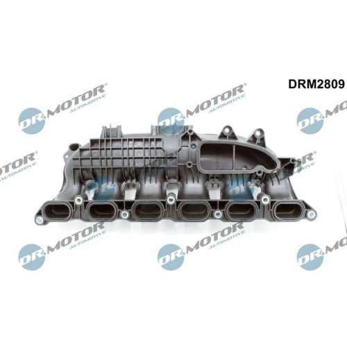 Dr.Motor Automotive Saugrohrmodul DRM2809