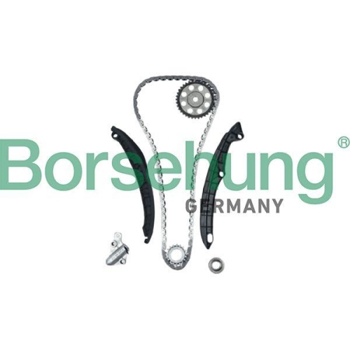 Borsehung Steuerkettensatz B12879