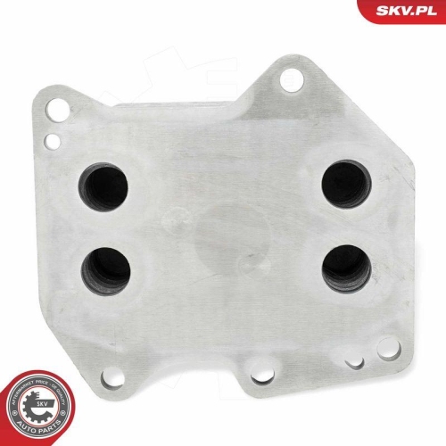 ESEN SKV &Ouml;lk&uuml;hler, Motor&ouml;l 31SKV320