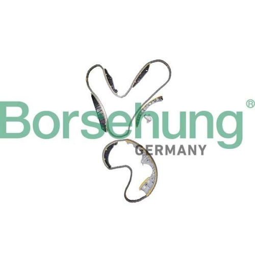 Borsehung Steuerkettensatz B12738