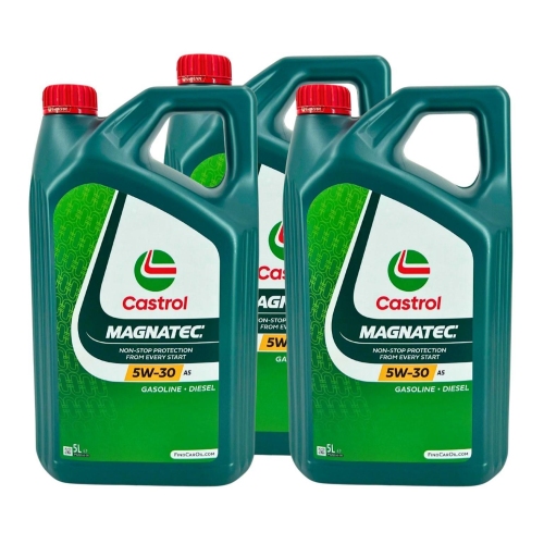 Motor&ouml;l Castrol Magnatec 5W-30 A5 Ford ACEA A5/B5 A1/B1 API SN 15 Liter 15F909
