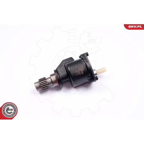 ESEN SKV Unterdruckpumpe, Bremsanlage