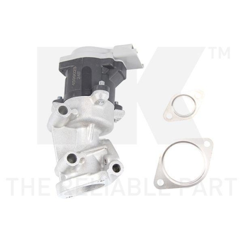 NK AGR-Ventil 4599029