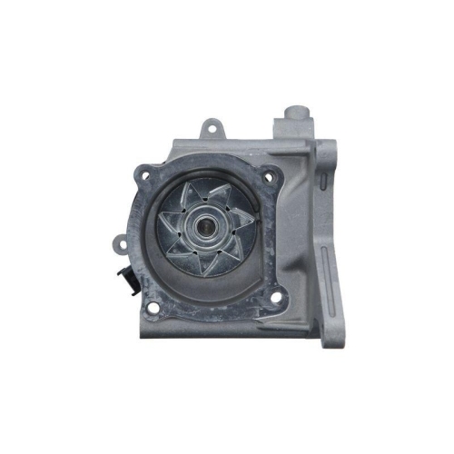 VALEO Wasserpumpe, Motork&uuml;hlung 529712