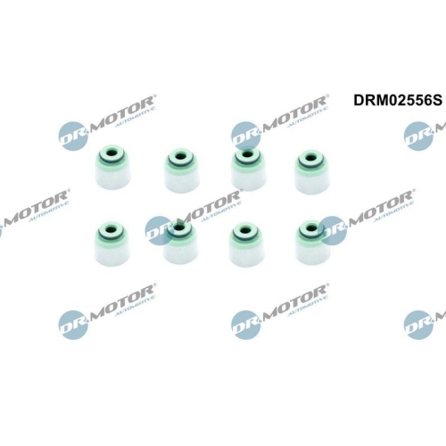 Dr.Motor Automotive Dichtungssatz, Ventilschaft DRM02556S