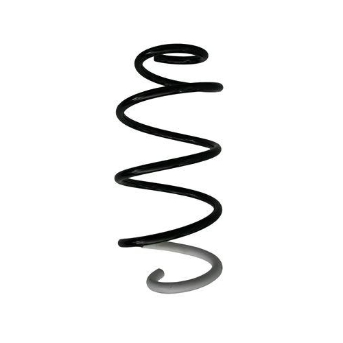 SPIDAN Fahrwerksfeder 87363