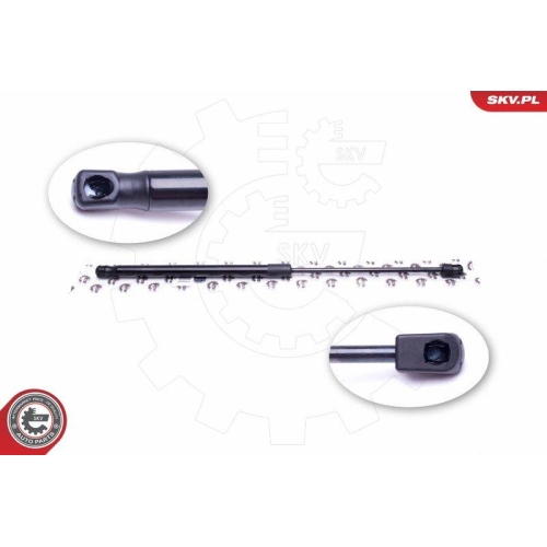 ESEN SKV Gasfeder, Koffer-/Laderaum