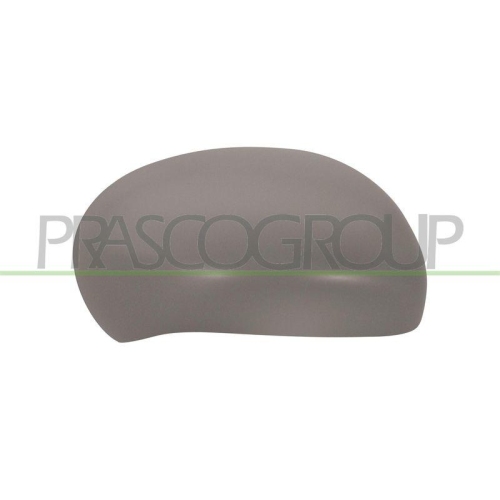 PRASCO Abdeckung, Au&szlig;enspiegel DS7007413