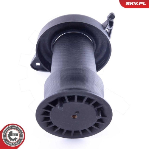 ESEN SKV Luftfeder, Fahrwerk 58SKV015