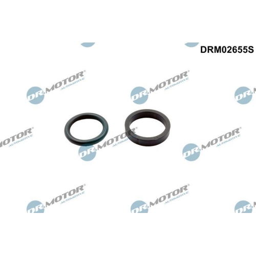 Dr.Motor Automotive Dichtung, Nockenwellenverstellung DRM02655S