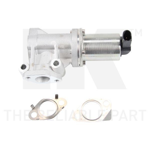 NK AGR-Ventil 4599033