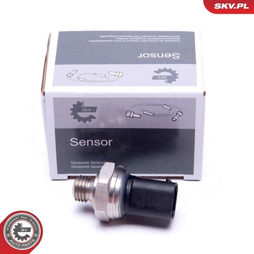 ESEN SKV Sensor, Abgasdruck 17SKV780