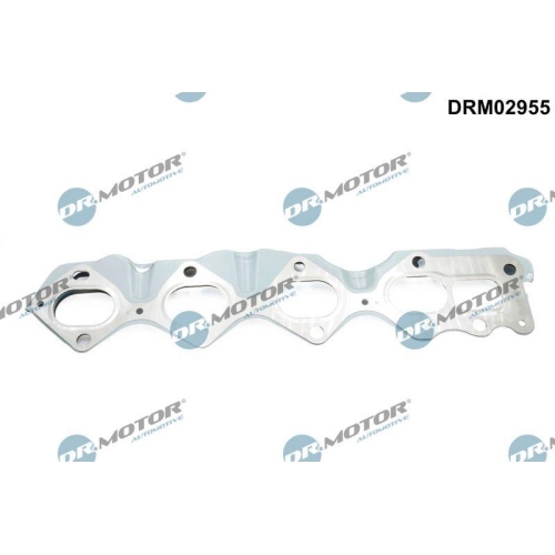 Dr.Motor Automotive Dichtung, Abgaskr&uuml;mmer DRM02955