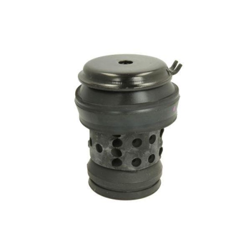 REINHOCH Lagerung, Motor RH11-0018