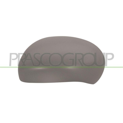 PRASCO Abdeckung, Au&szlig;enspiegel DS7007414