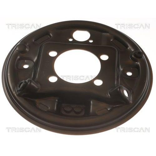 TRISCAN Spritzblech, Bremsscheibe 8125 13207