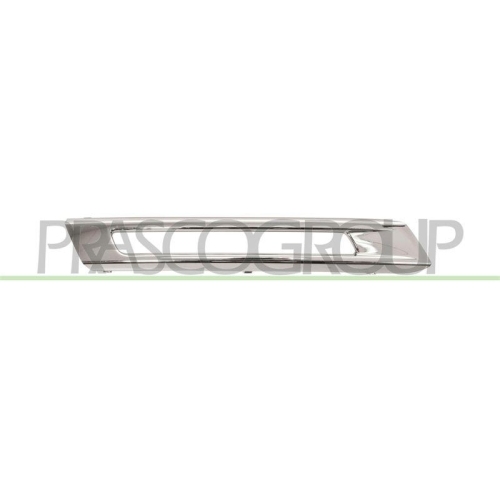 PRASCO Zier-/Schutzleiste, Sto&szlig;f&auml;nger ME8281244