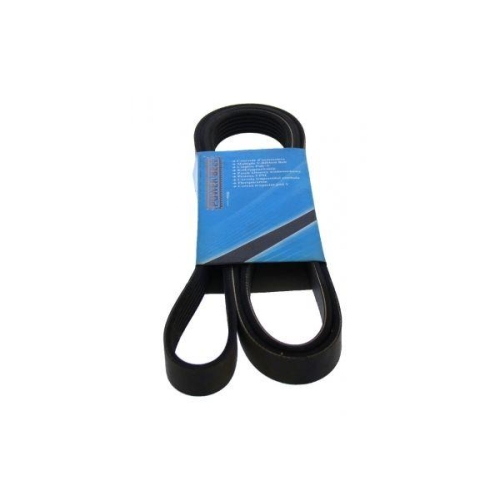 MAPCO Keilrippenriemen 261965