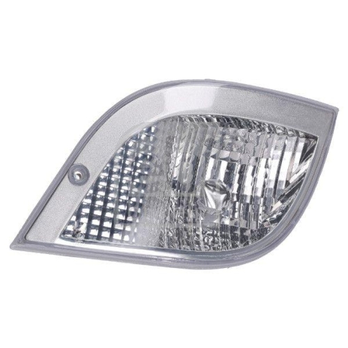 FEBI BILSTEIN Blinkleuchte 197582