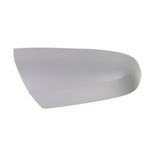 BLIC Geh&auml;use, Au&szlig;enspiegel 6103-01-1311221P