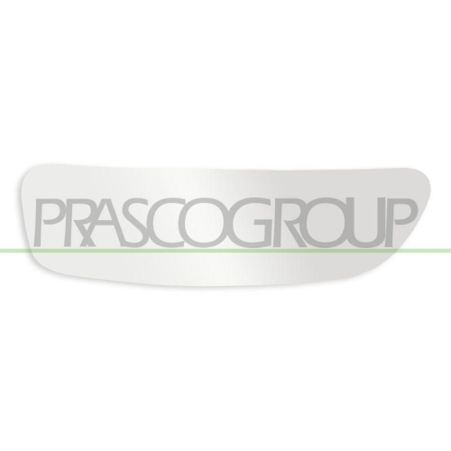 PRASCO Spiegelglas, Au&szlig;enspiegel FT9107533